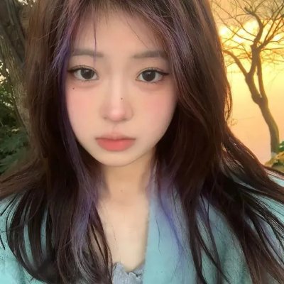 公主复仇者