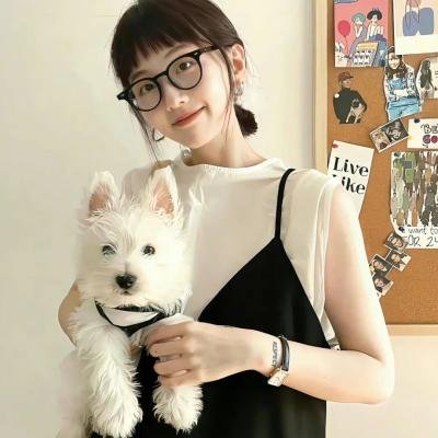 菜鸟先生